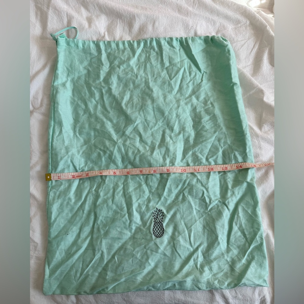 Aquazzura Mint Green Pineapple Pouch